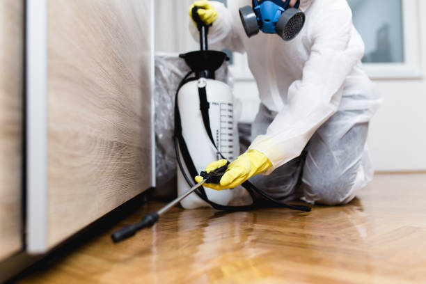 Best Pest Removal Services  in Hartford, AL