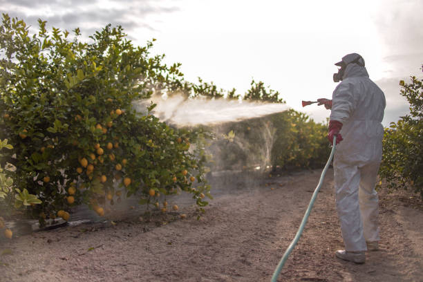 Wildlife Control Services in Hartford, AL