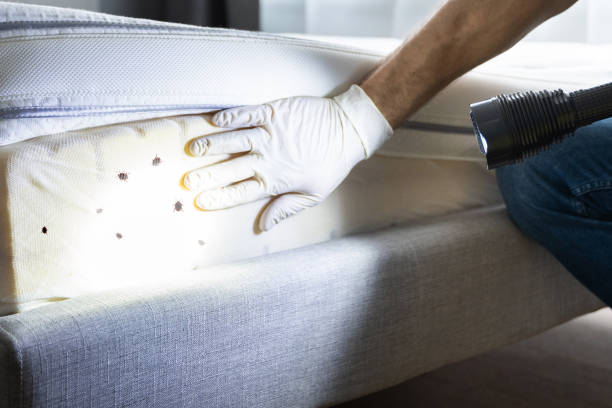Reliable Hartford, AL Pest Control Solutions